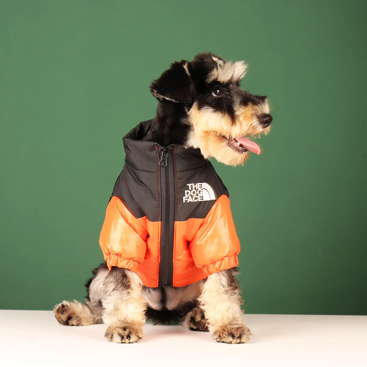 Stylish Winter Pet Dog Warm and Windproof Jacket