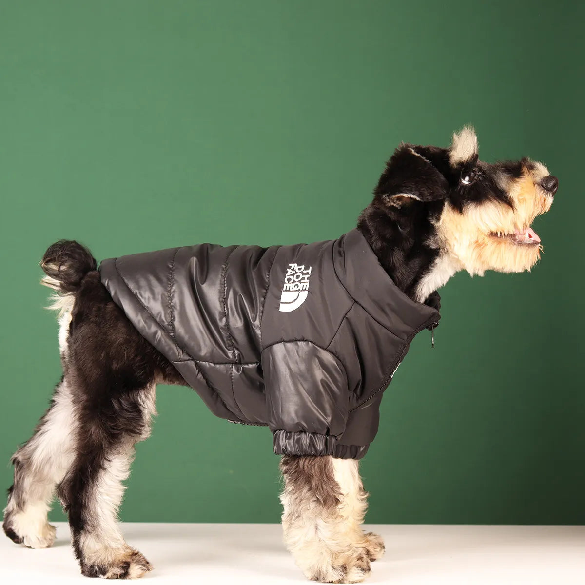 Stylish Winter Pet Dog Warm and Windproof Jacket