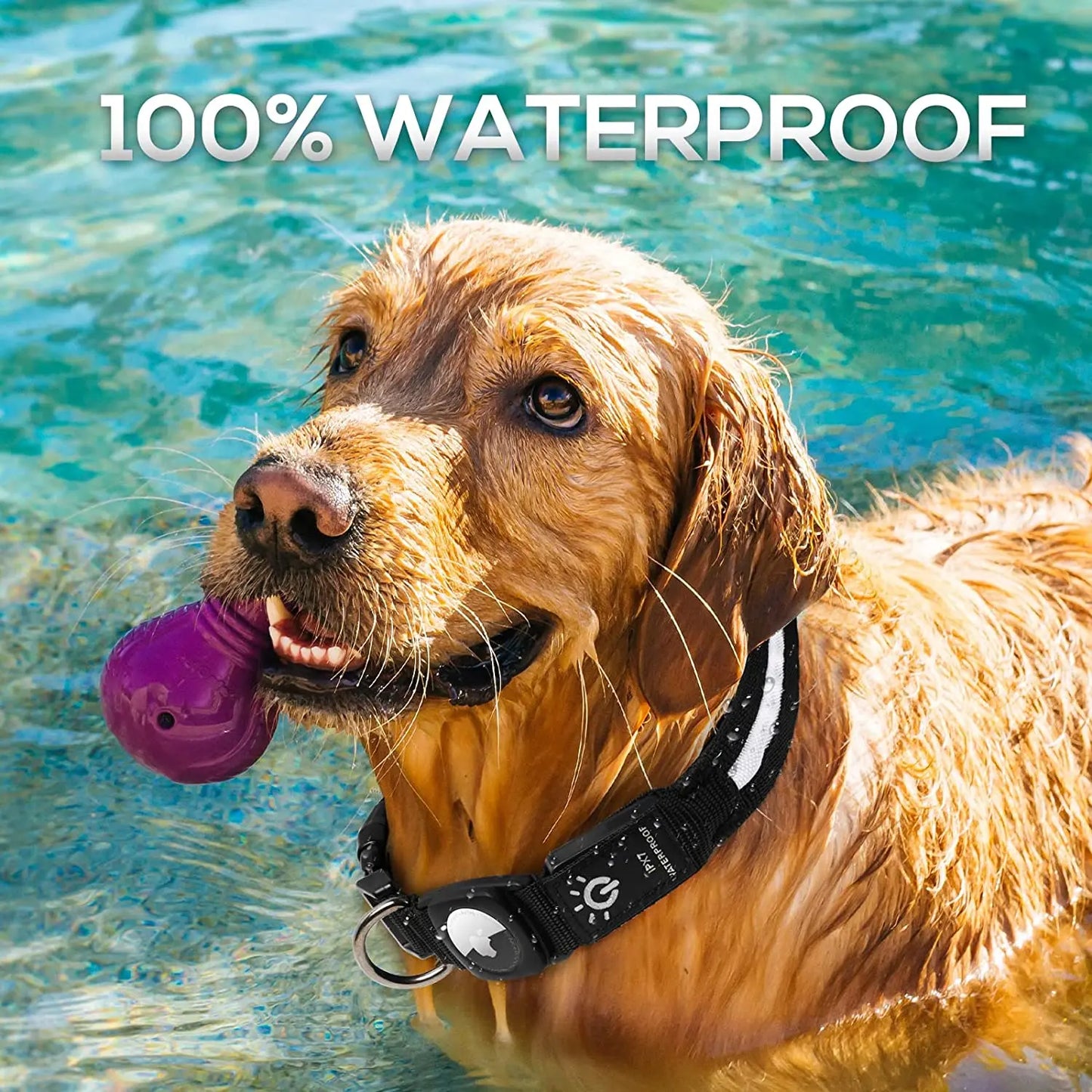 Waterproof Collar for Apple Airtag