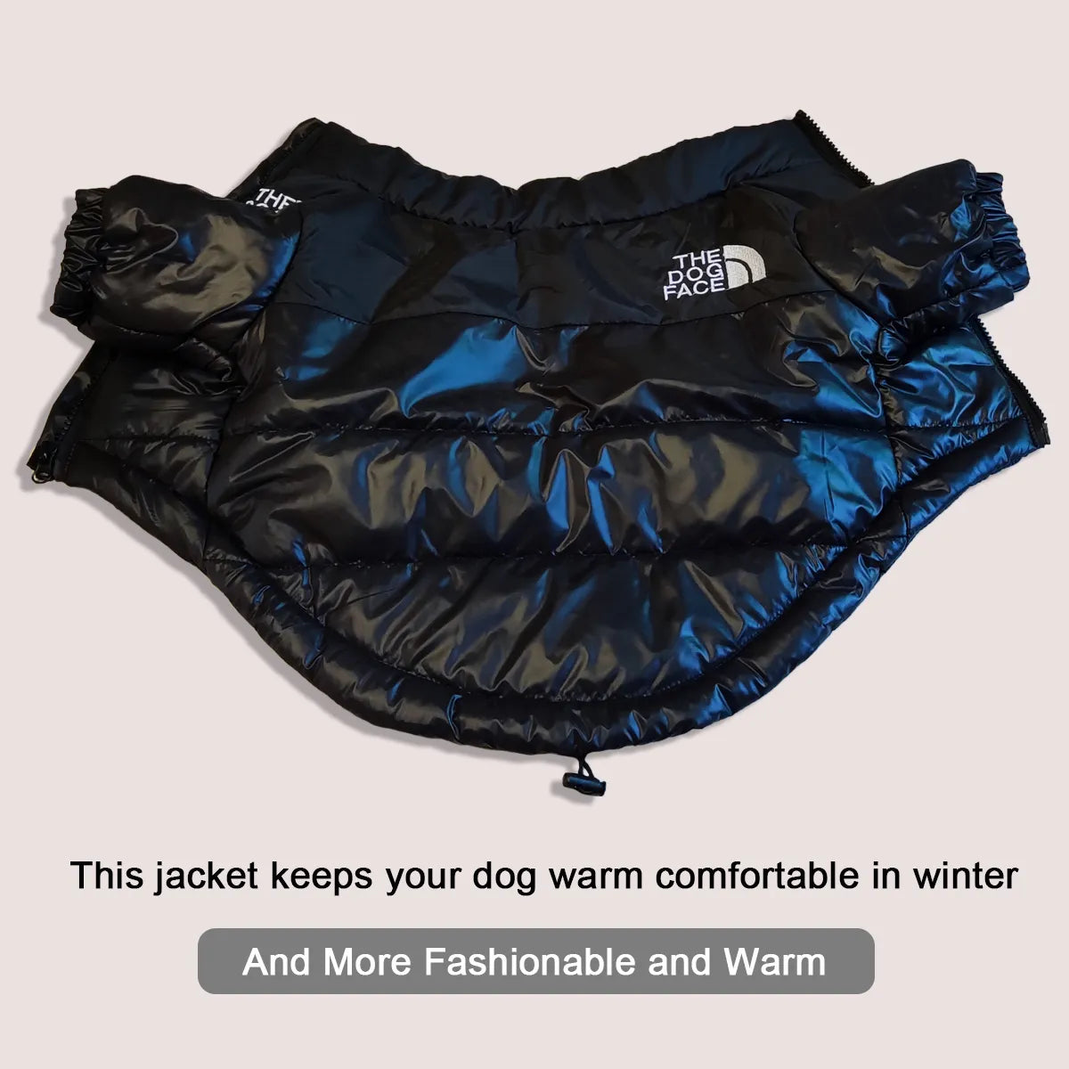 Stylish Winter Pet Dog Warm and Windproof Jacket