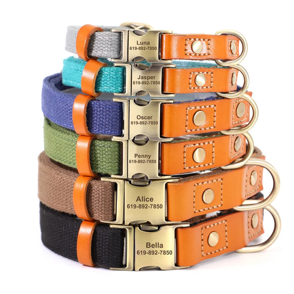 Nylon Custom Dog Collar & Leash Set with Personalized Name Tag