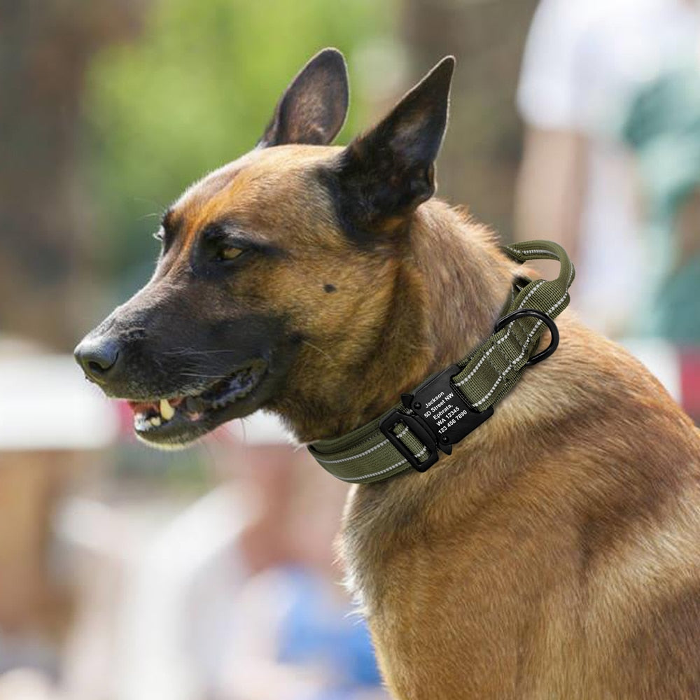 Personalized Military Tactical Adjustable Training Collar For Medium and Large Dogs