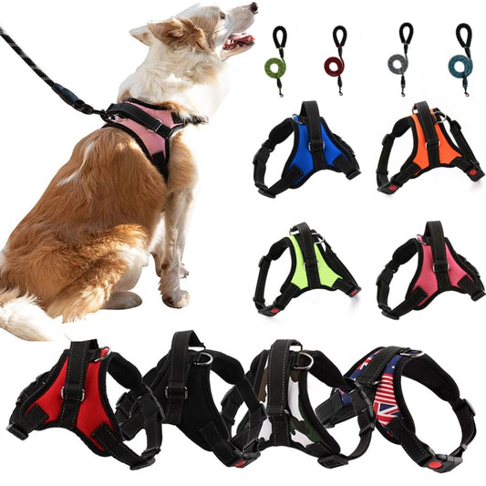 Durable Reflective Harness and Leads for Dogs