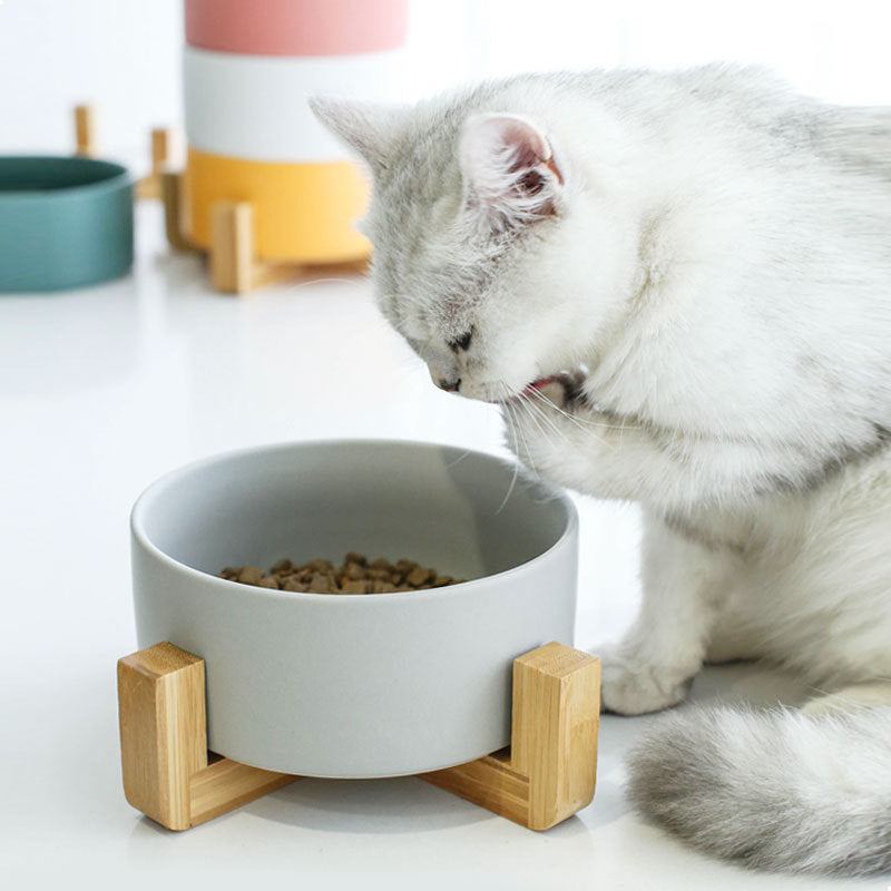 Ceramic Pet Bowl with Stands in Great Colour Options - Single & Twin Options