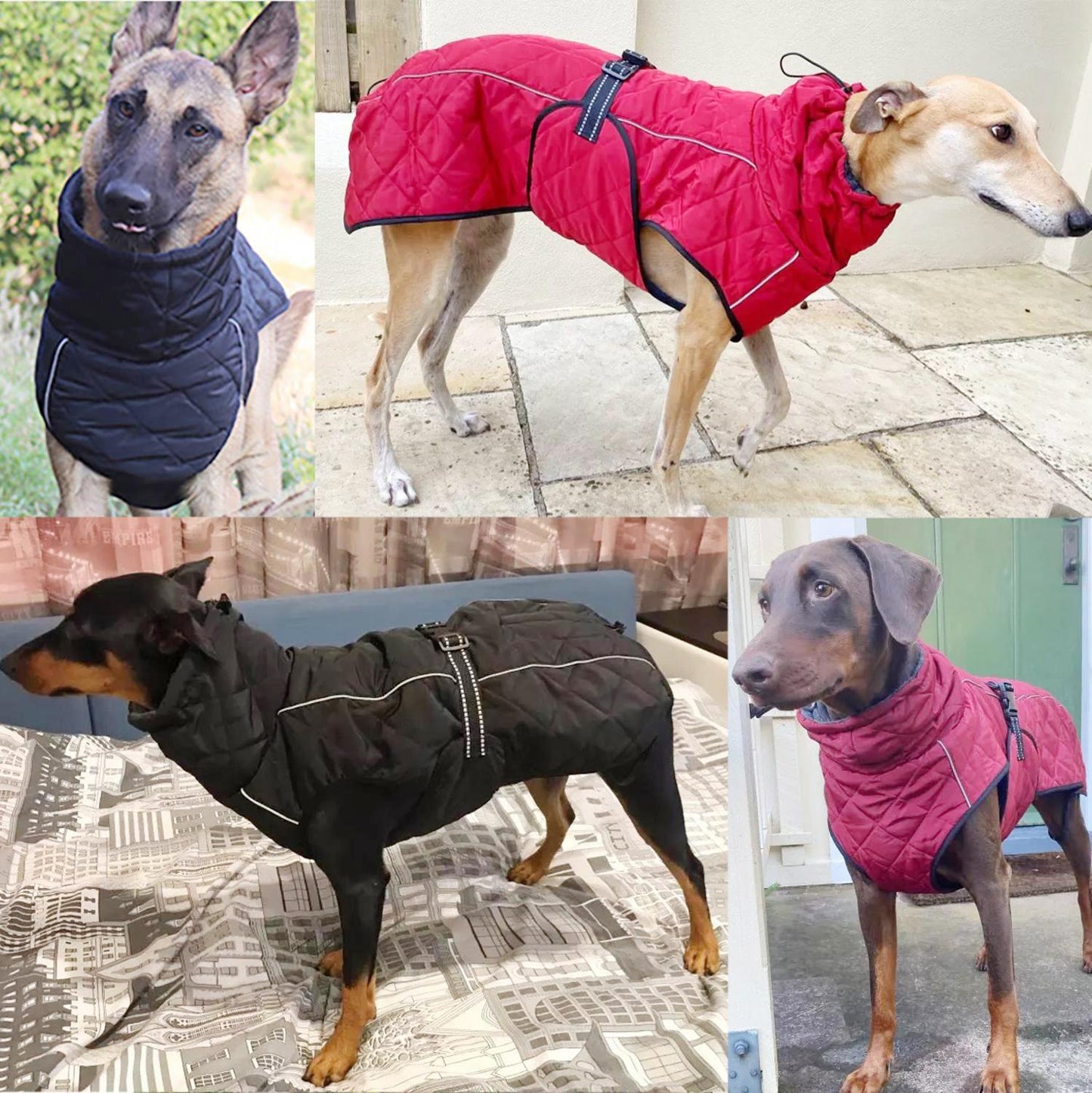 Quality Waterproof Reflective Outdoor Jacket  for Medium & Large Dogs