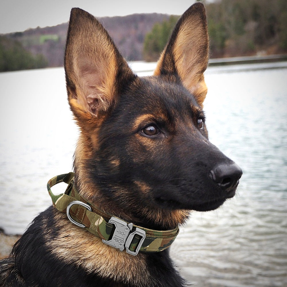 Military Tactical Dog Collar - Ideal for Medium and Large Dogs