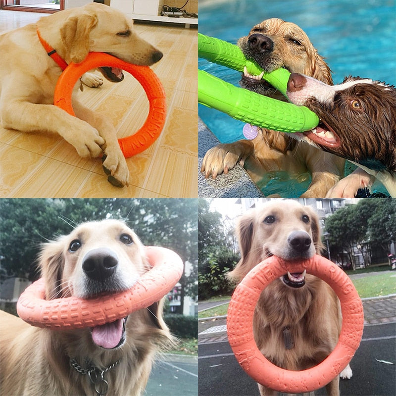 Interactive Training Ring Puller Toy for Dogs - Great range of colours and sizes