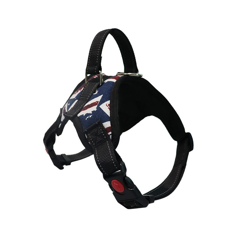 Durable Reflective Harness and Leads for Dogs