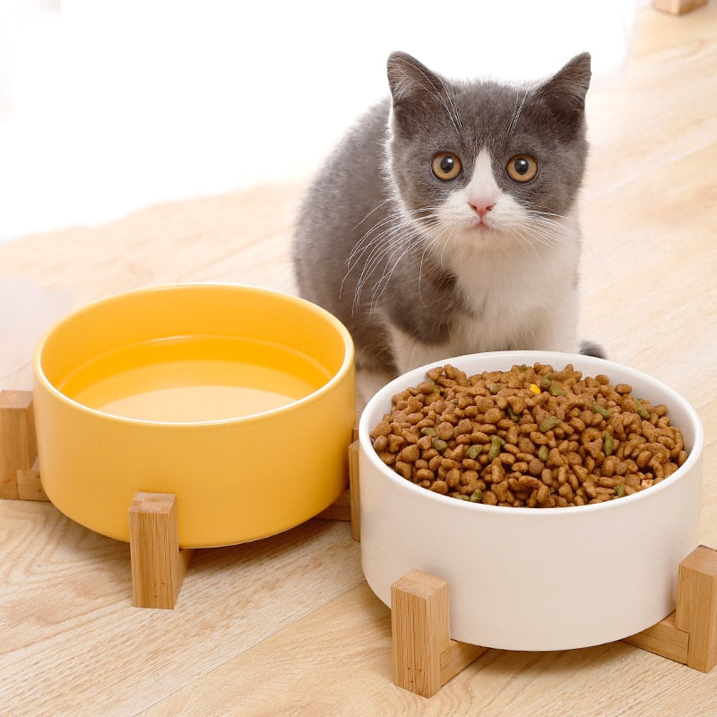 Ceramic Pet Bowl with Stands in Great Colour Options - Single & Twin Options