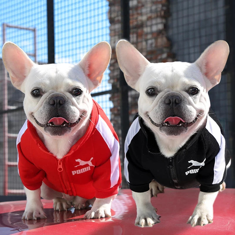 Luxury Designers Warm Winter Sweatshirts For Dogs