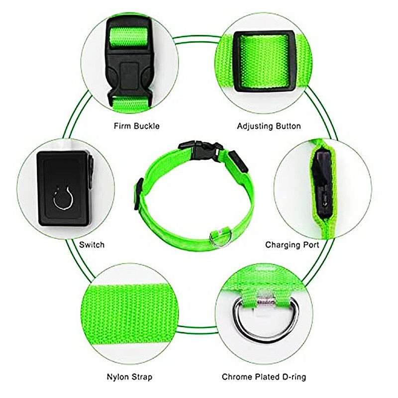 LED Glowing Rechargeable Luminous Collar - Great range of colours and sizes