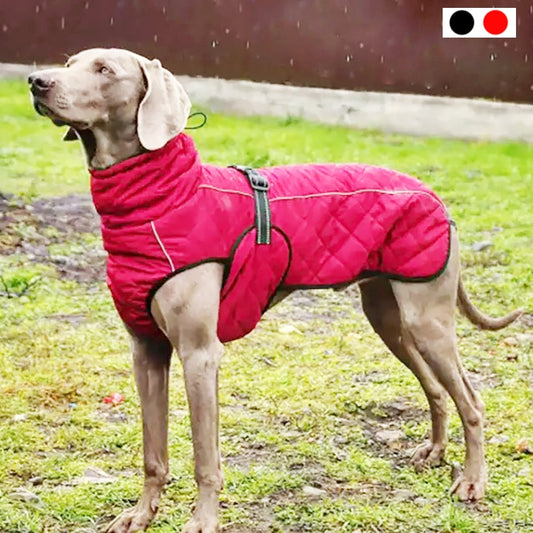 Quality Waterproof Reflective Outdoor Jacket  for Medium & Large Dogs