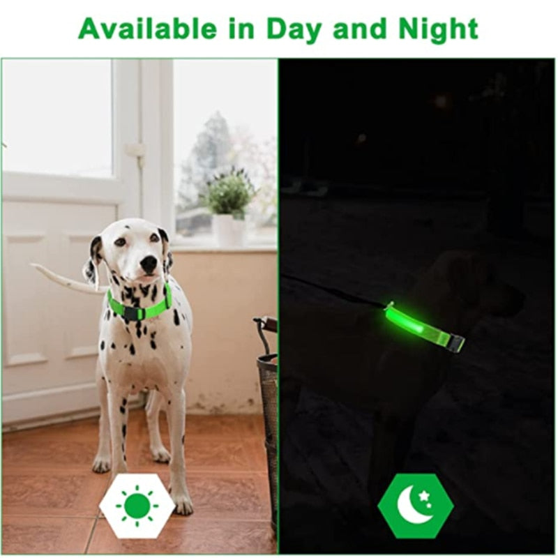 LED Glowing Rechargeable Luminous Collar - Great range of colours and sizes