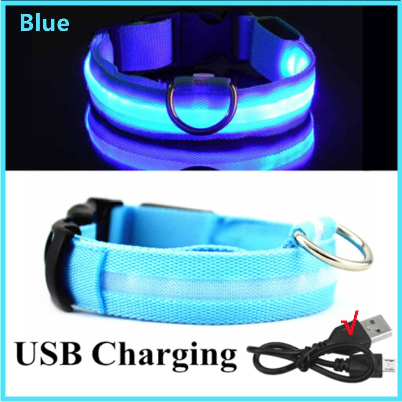 LED Glowing Rechargeable Luminous Collar - Great range of colours and sizes