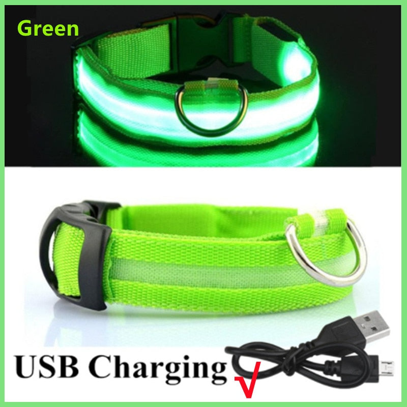 LED Glowing Rechargeable Luminous Collar - Great range of colours and sizes