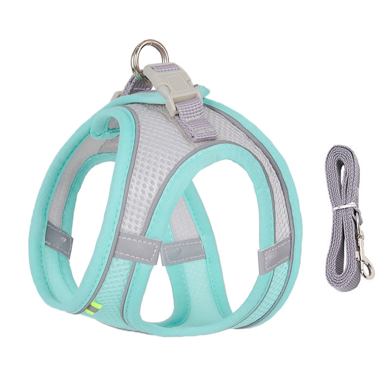 Adjustable And Comfortable Outdoor Dog Harness for small dogs