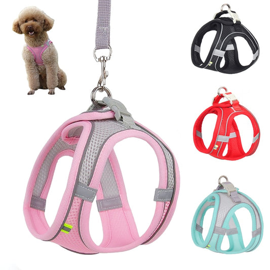 Adjustable And Comfortable Outdoor Dog Harness for small dogs