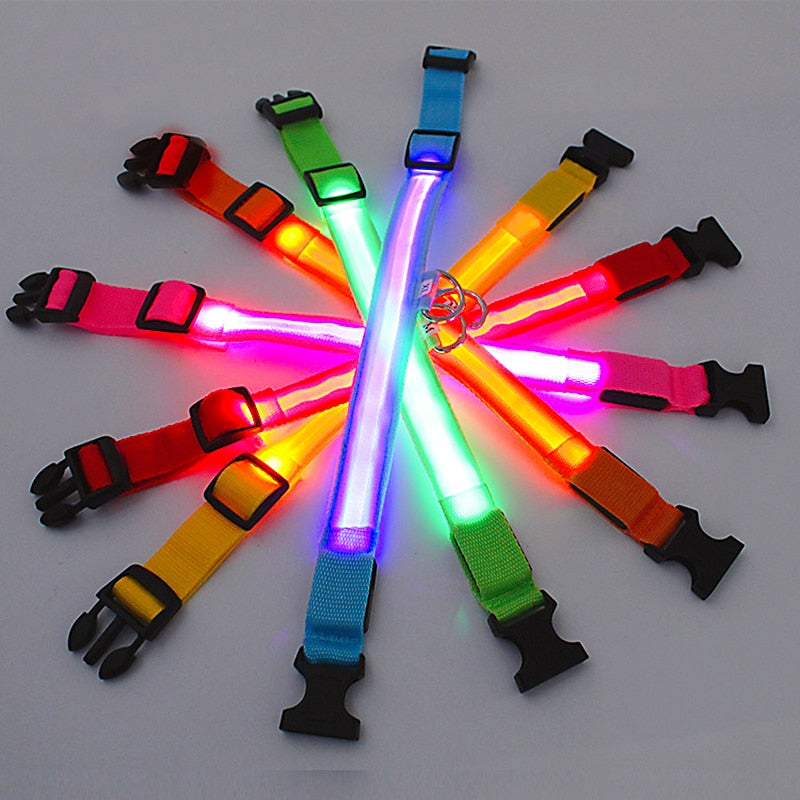 LED Glowing Rechargeable Luminous Collar - Great range of colours and sizes