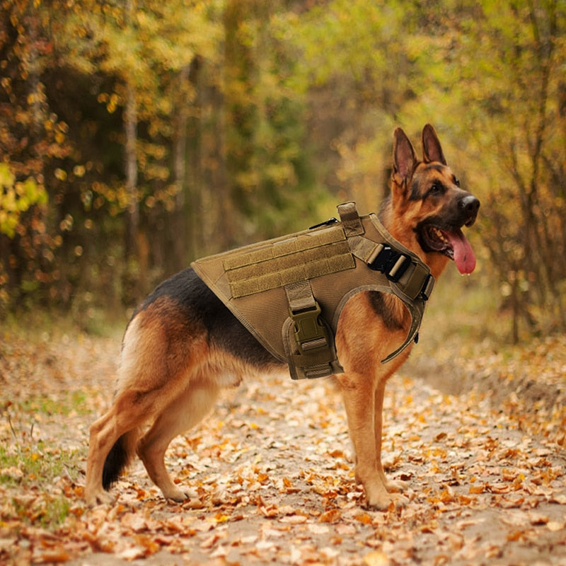 Military Style No Pull Re-hab Harness For Larger Pets & Service Dogs  - great colours