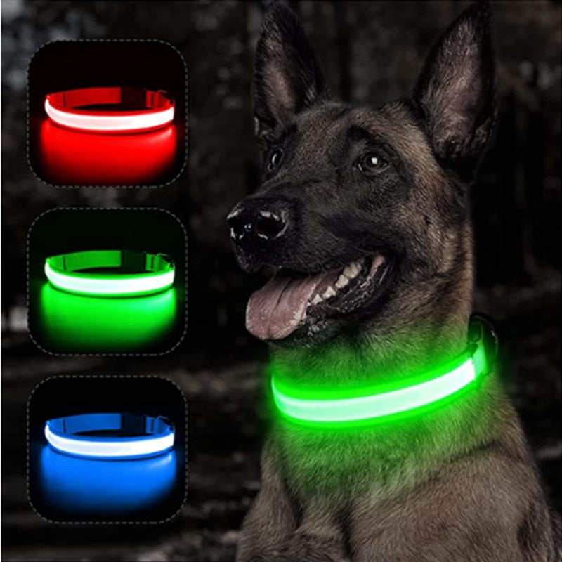 LED Glowing Rechargeable Luminous Collar - Great range of colours and sizes