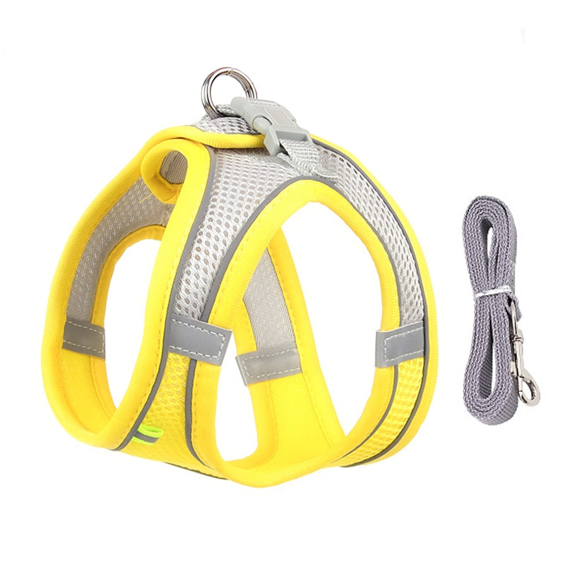 Adjustable And Comfortable Outdoor Dog Harness for small dogs