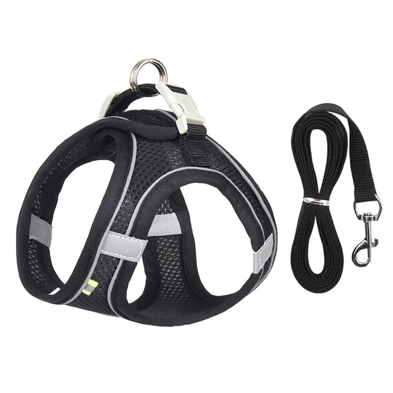 Adjustable And Comfortable Outdoor Dog Harness for small dogs