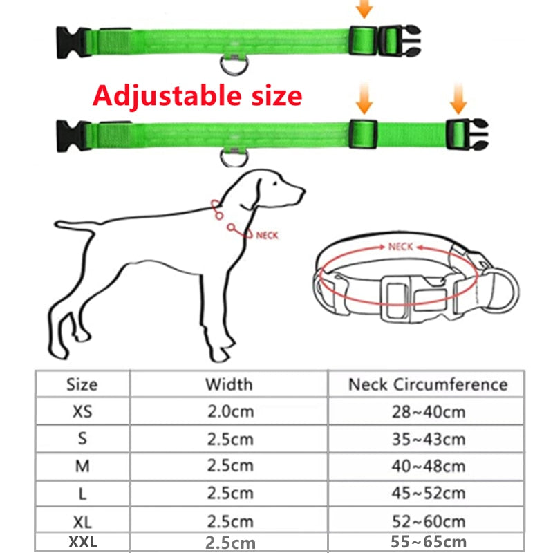 LED Glowing Rechargeable Luminous Collar - Great range of colours and sizes