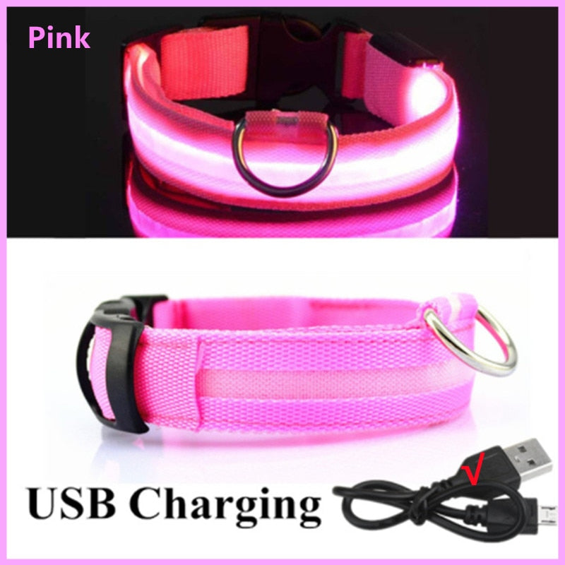 LED Glowing Rechargeable Luminous Collar - Great range of colours and sizes